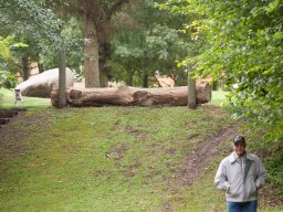 IMG_8267_web